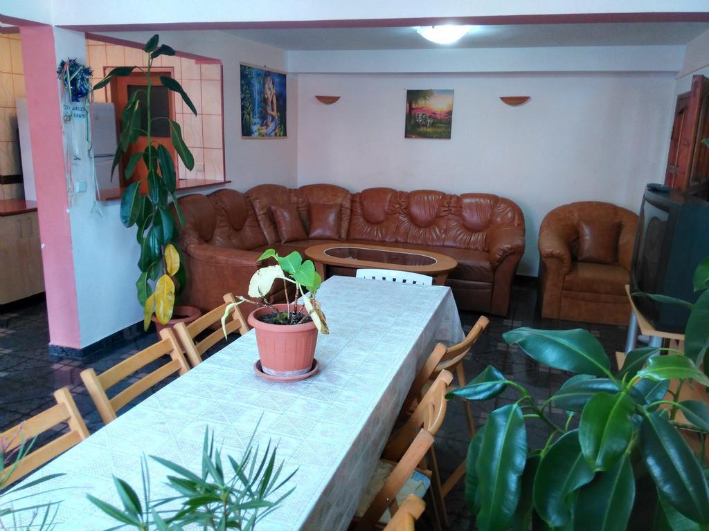 Vila Marcela Busteni Room photo