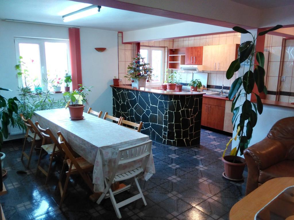 Vila Marcela Busteni Room photo