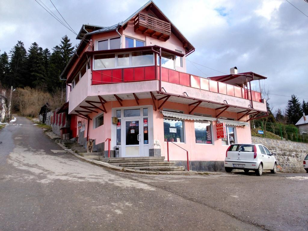Vila Marcela Busteni Exterior photo